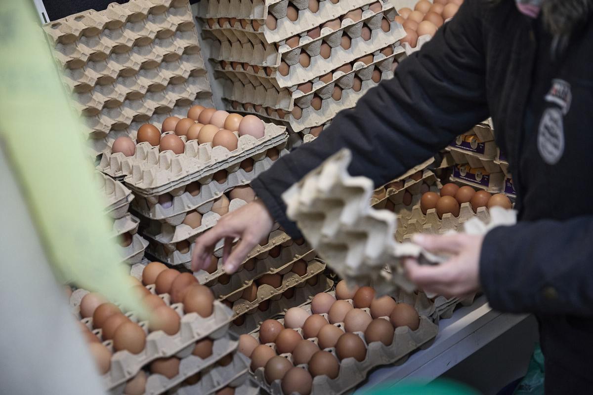 Huevos, a 20 de noviembre de 2025, Madrid (España)