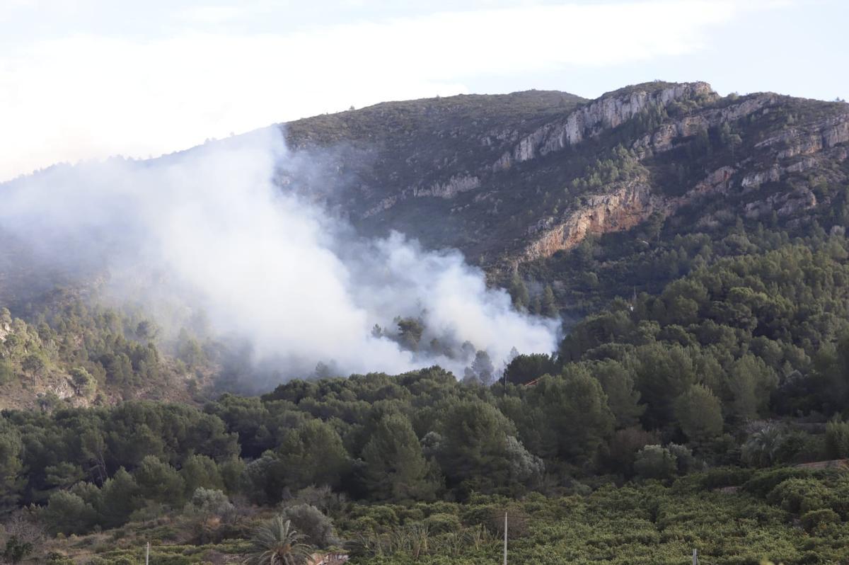 Un incendio forestal en Alzira amenza la Murta y dos centenares de viviendas