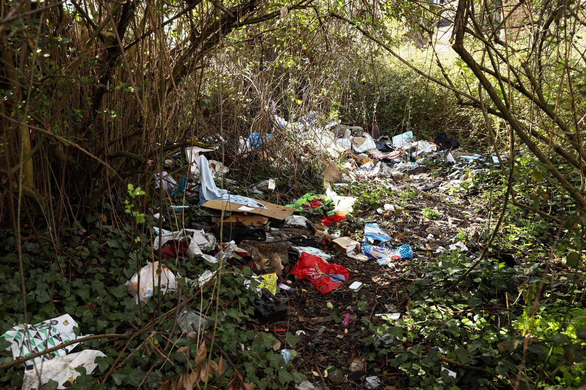 Chamizo de Roces donde apareció sin vida Alberto Aguirre.