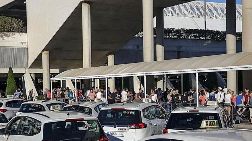 Großkontrolle am Flughafen Mallorca: Kampagne gegen &quot;Piraten-Taxis&quot;