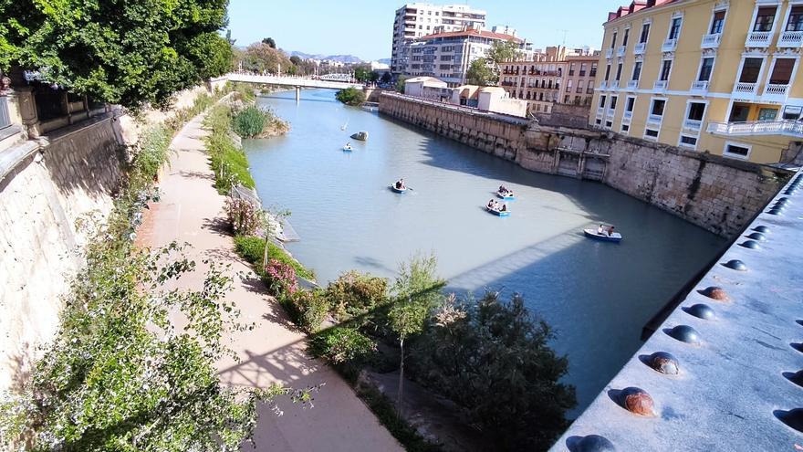 La CHS y ANSE trabajarán para restaurar el ecosistema fluvial del Segura