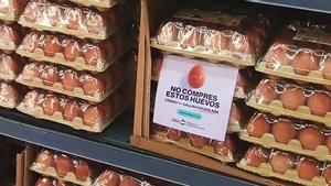 Campaña para concienciar sobre el maltrato a las gallinas ponedoras.