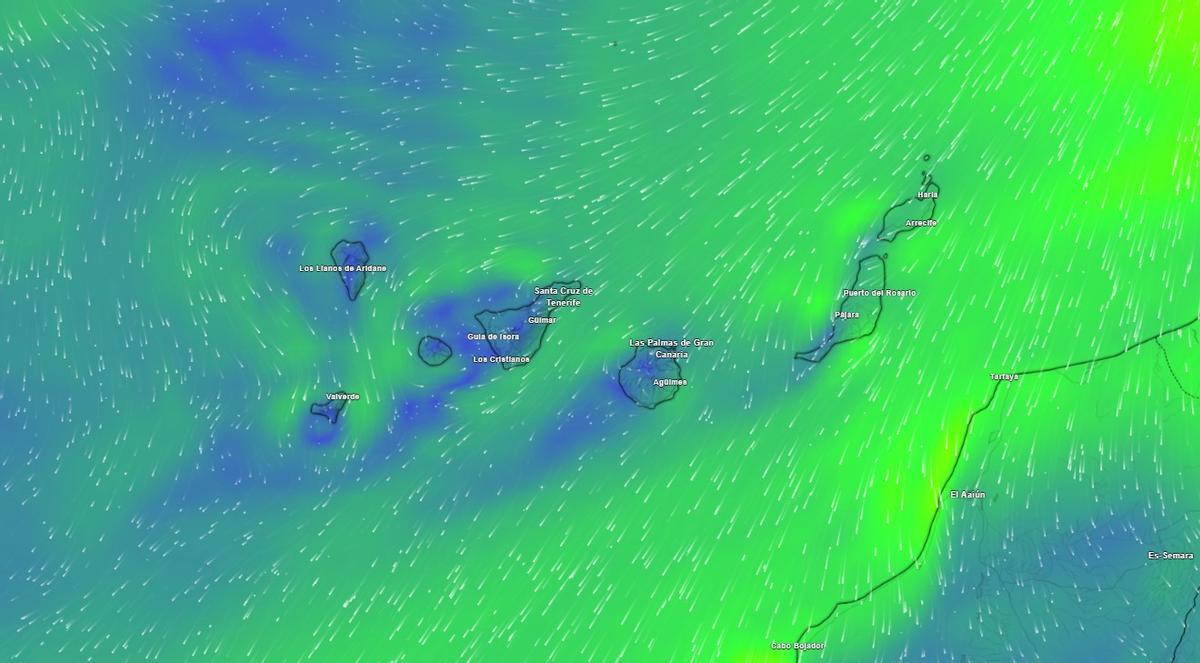 Mapa meteorológico de viento en Canarias para este martes