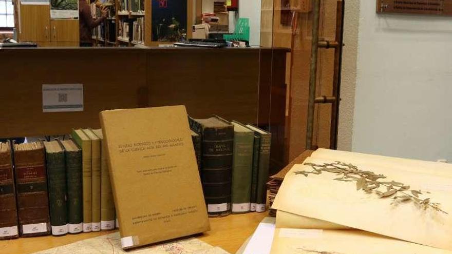 Libros, trabajos y herbario de la colección Dalda en el Ceida.