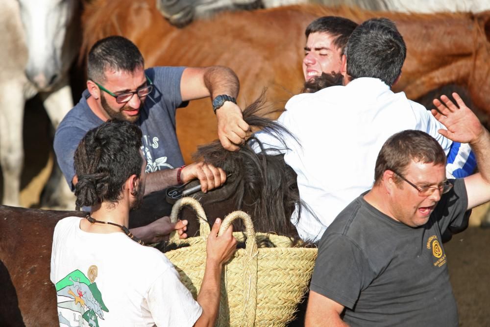 Sabucedo exhibe bravura en su Rapa das Bestas