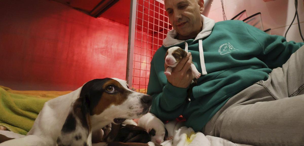 Esta nueva camada todavía no está disponible para la adopción. | Gustavo Santos