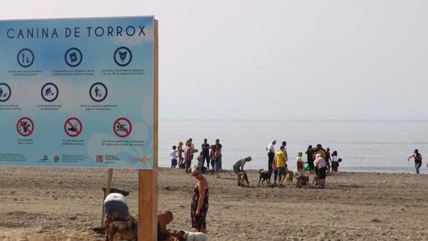 El municipio axárquico de Torrox fue uno de los que el pasado verano incorporó su primera playa para perros.