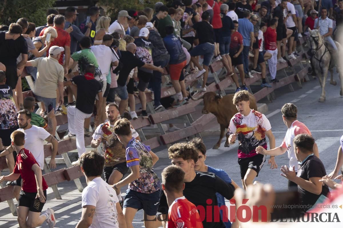 Primer encierro de las Fiestas de Moratalla