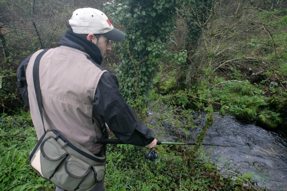 Pescadores tentando las truchas en un río de A Estrada