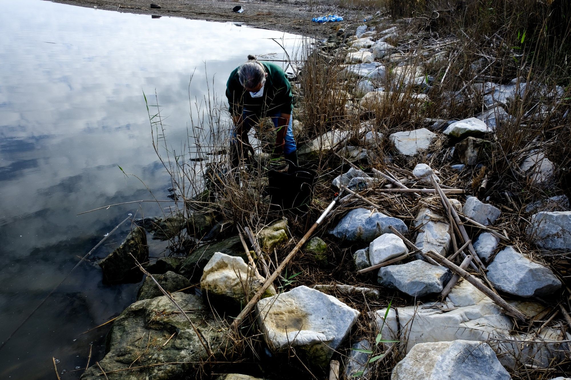 Así continúa este domingo la desembocadura del Guadalhorce, llena de peces muertos