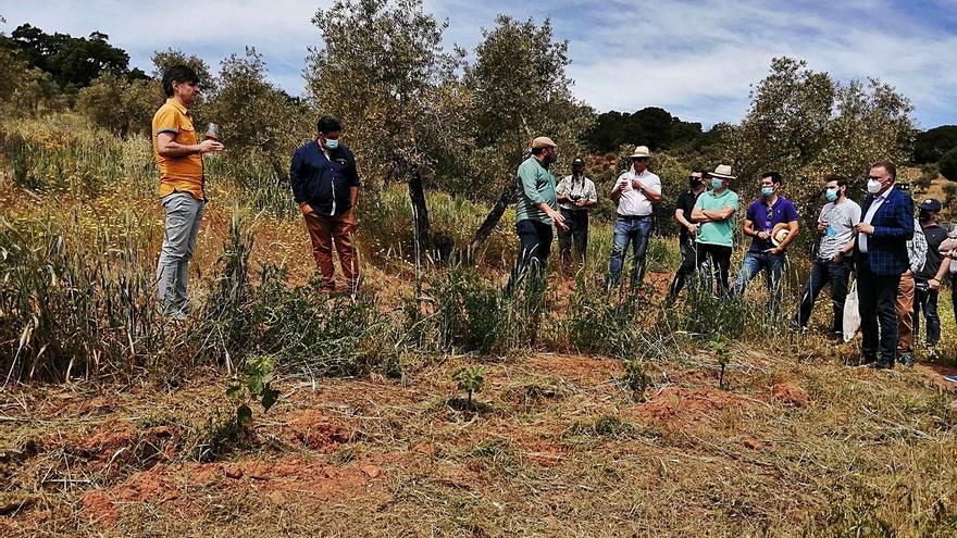 Visita al viñedo experimental en la jornada del pasado 22 de mayo.