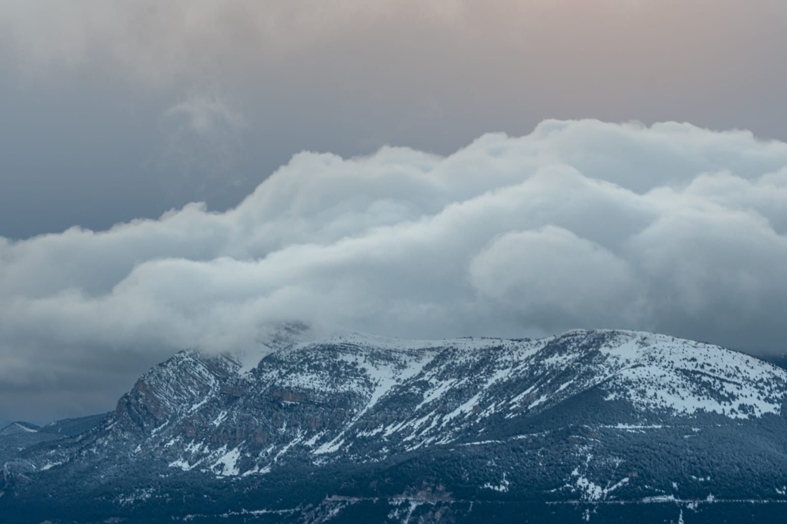 Paisatges nevats als Rassos de Peguera (17 de gener)