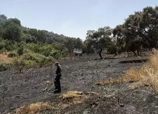 Imprudencia grave: el Seprona investiga a una persona por provocar un incendio forestal en Córdoba
