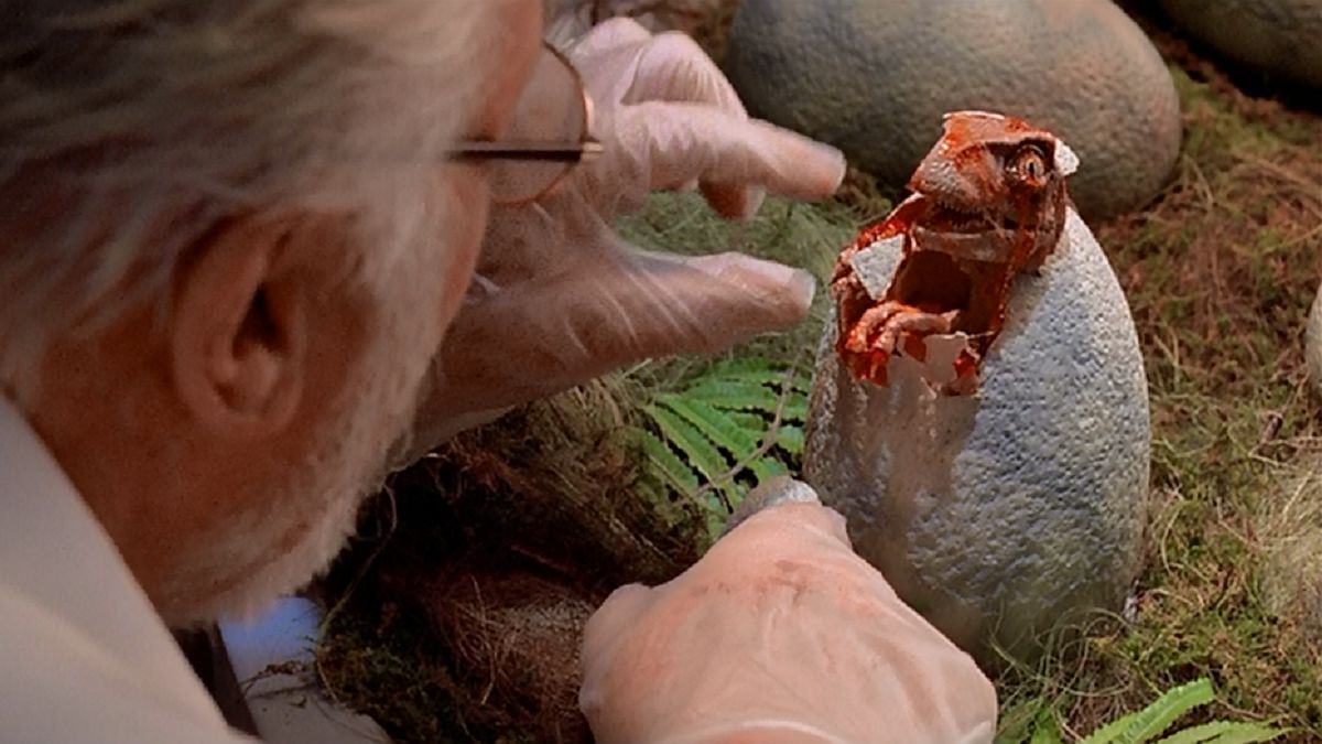 Jurassic Park Encuentran un huevo de dinosaurio en perfecto