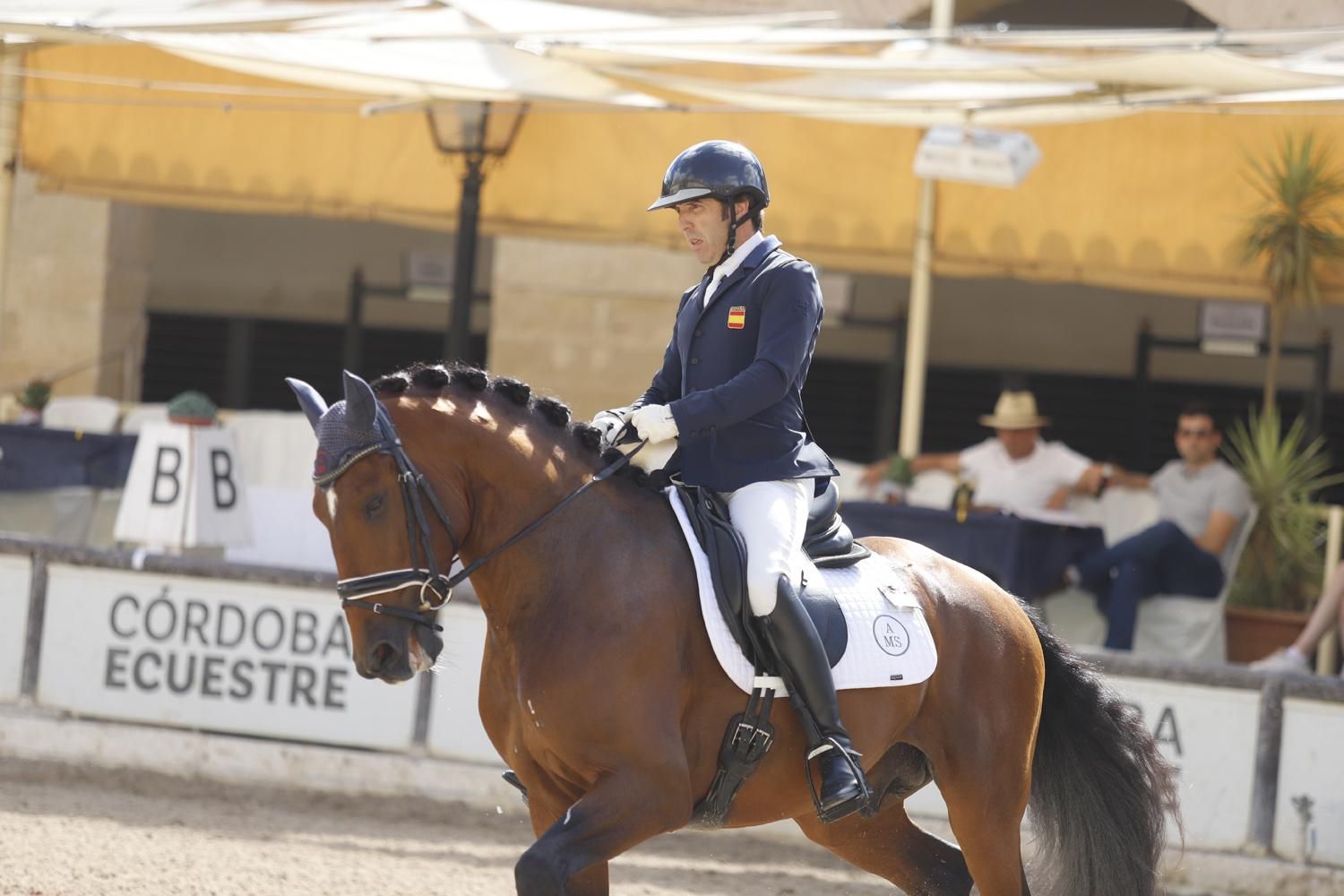 Campeonato de Europa del Caballo Lusitano