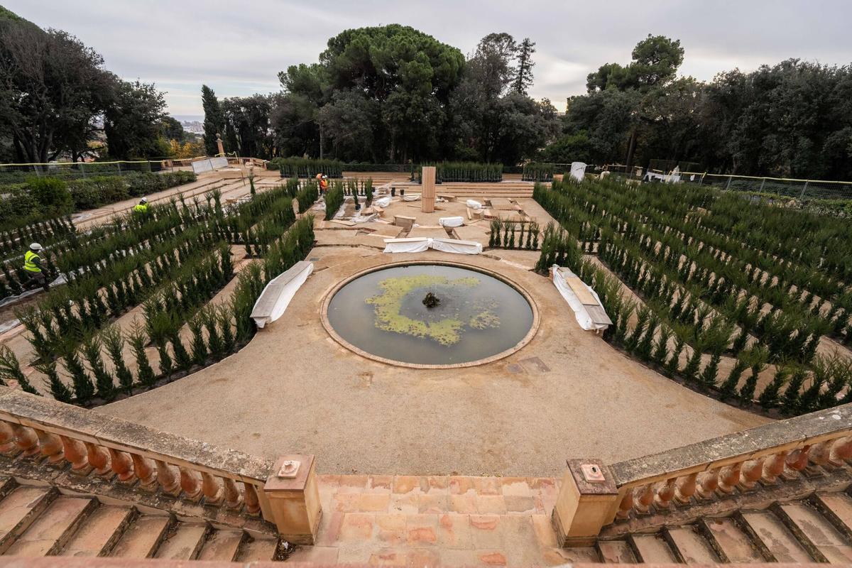 El Laberint d’Horta de Barcelona comença a renéixer amb la plantació dels primers xiprers
