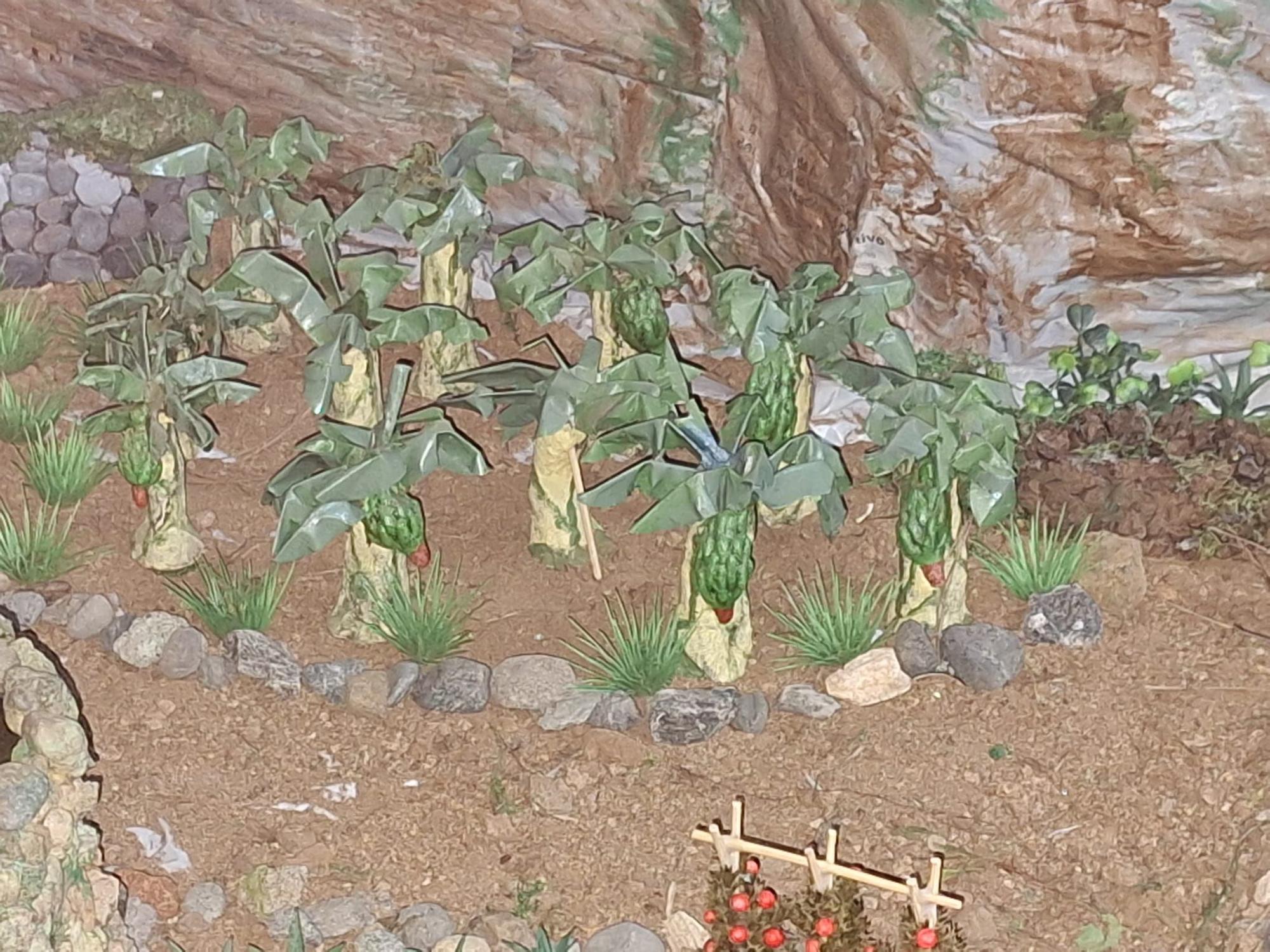 Belén Canario de Guía