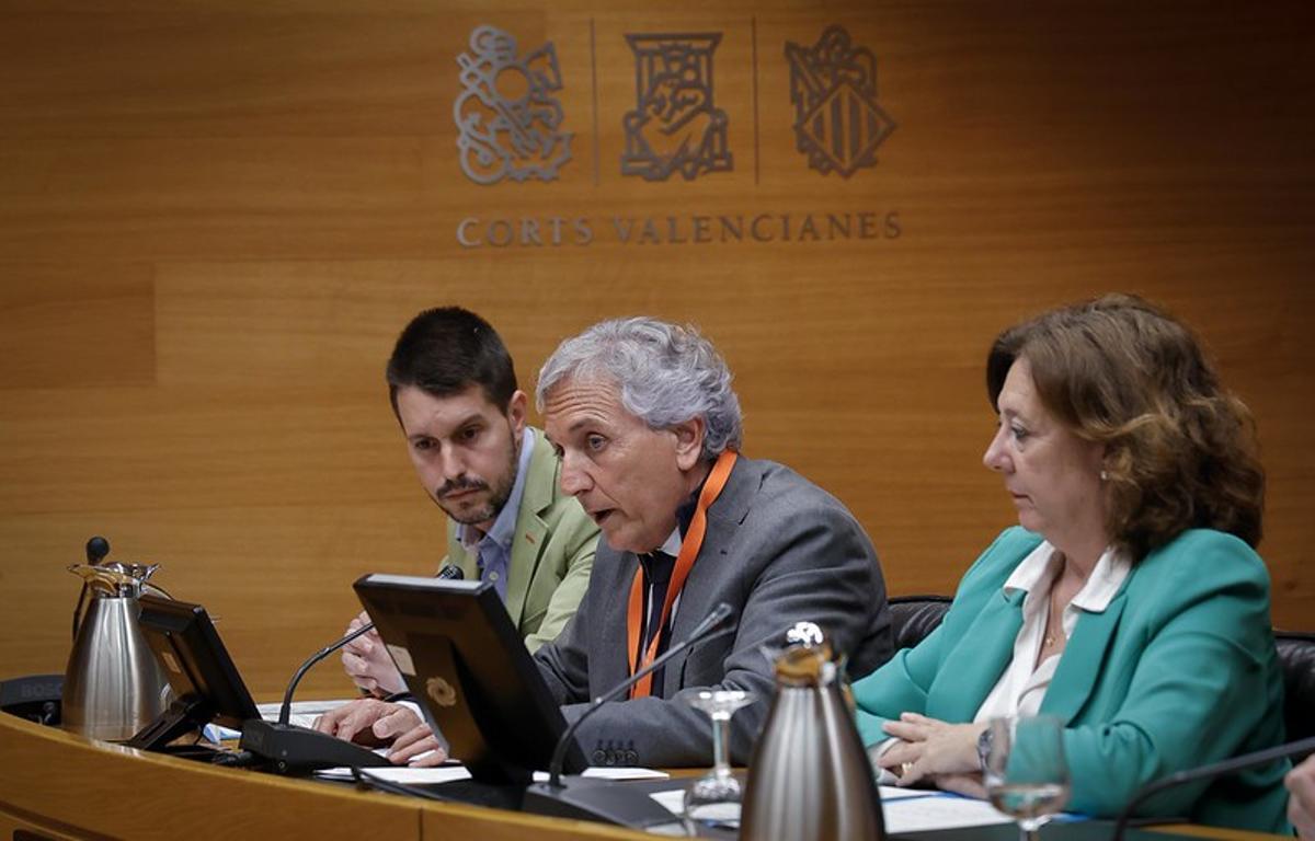 Raúl Mérida durante su comparecencia en las Corts