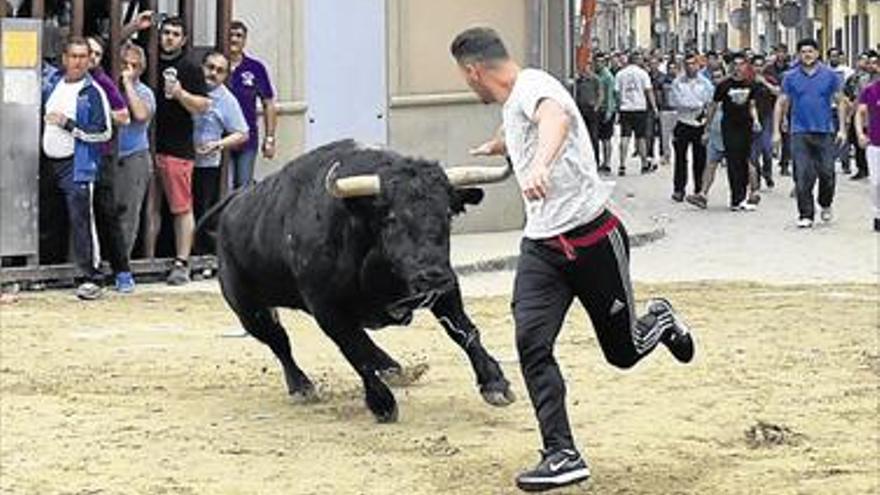 El ‘pa i porta’ concentra a 5.000 vecinos en la intensa recta final de Santa Quitèria