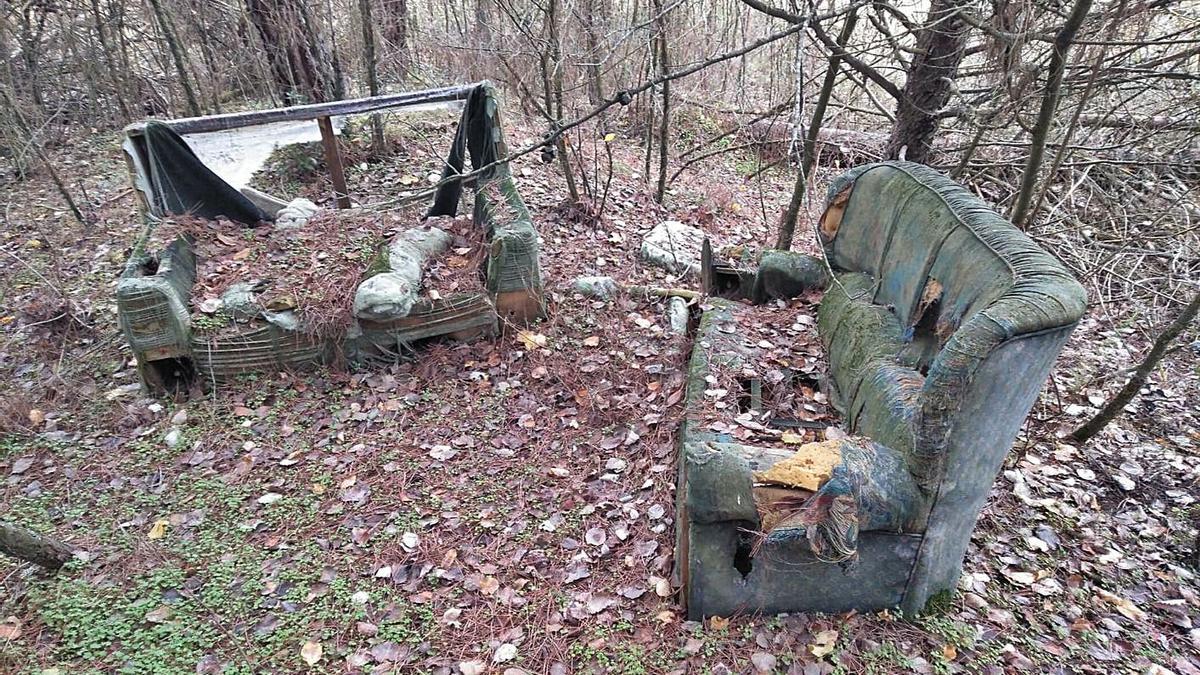 Acto incívico en plena naturaleza del bosque del Valorio