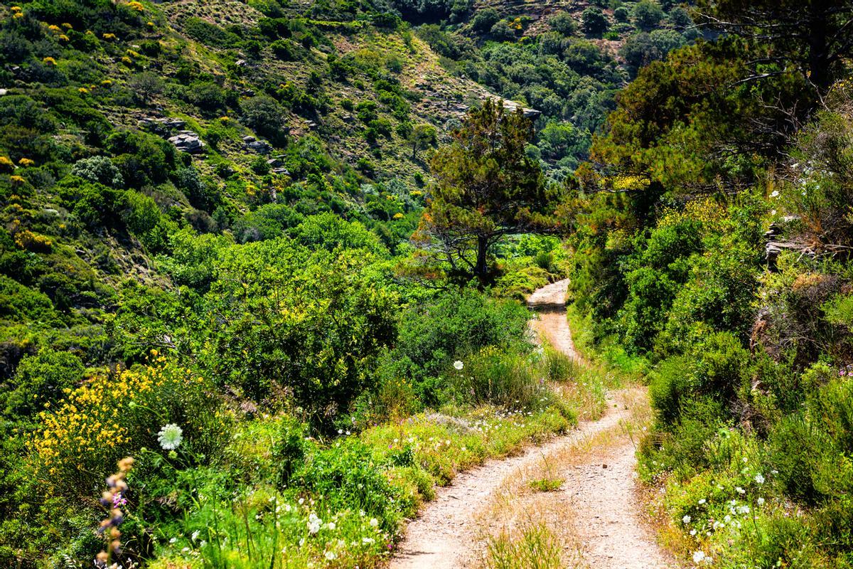 Vía Verde en Cantabria.