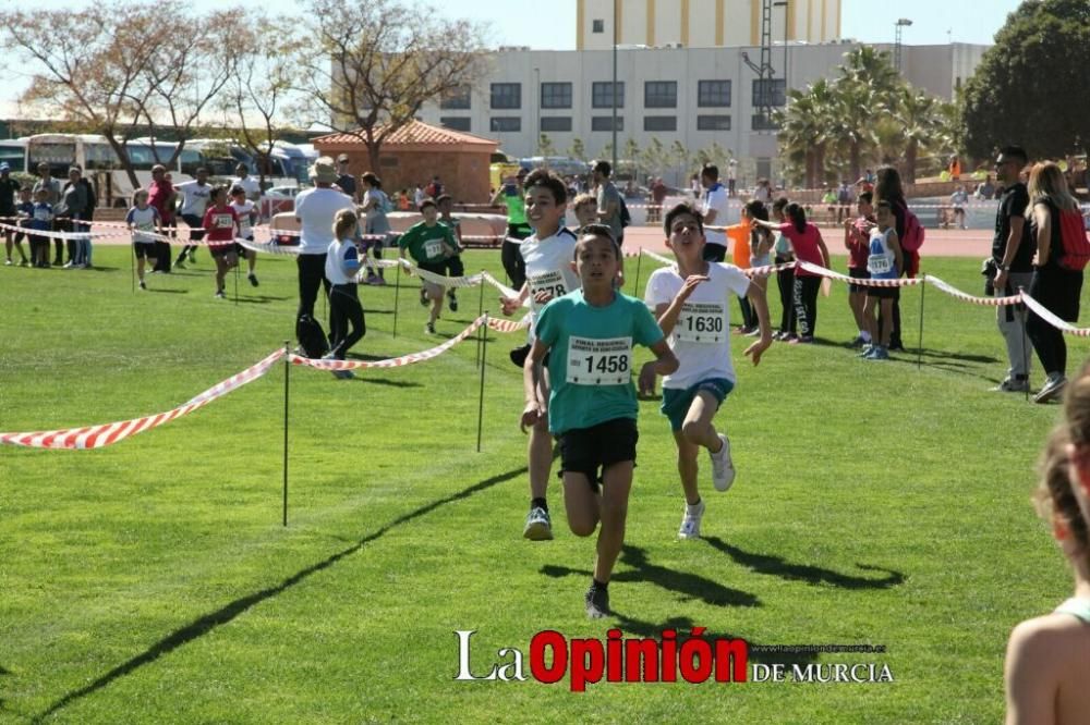 Final Cross Escolar de Lorca . Alevín masculino