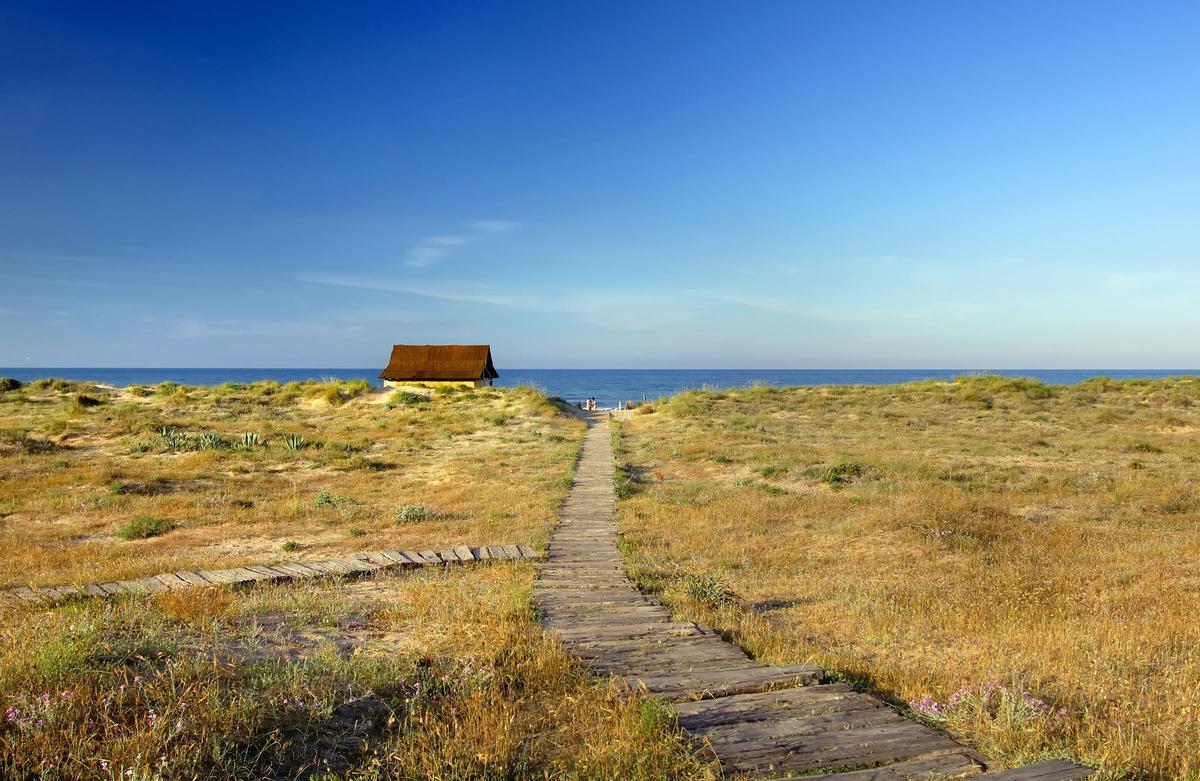Playa de Valencia, entre las localidades de Gandía y Dénia.