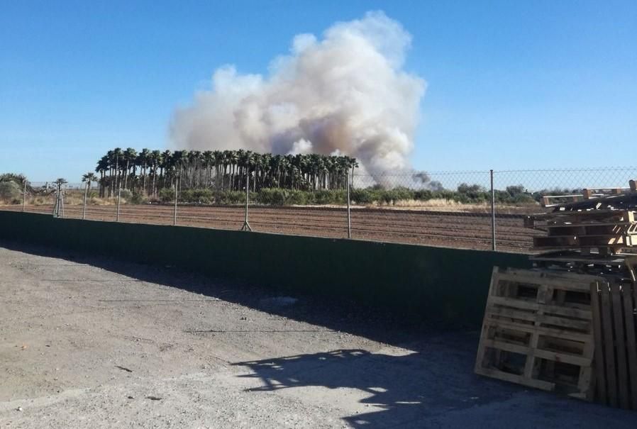 Incendio forestal en el Marjal dels Moros en Sagunt