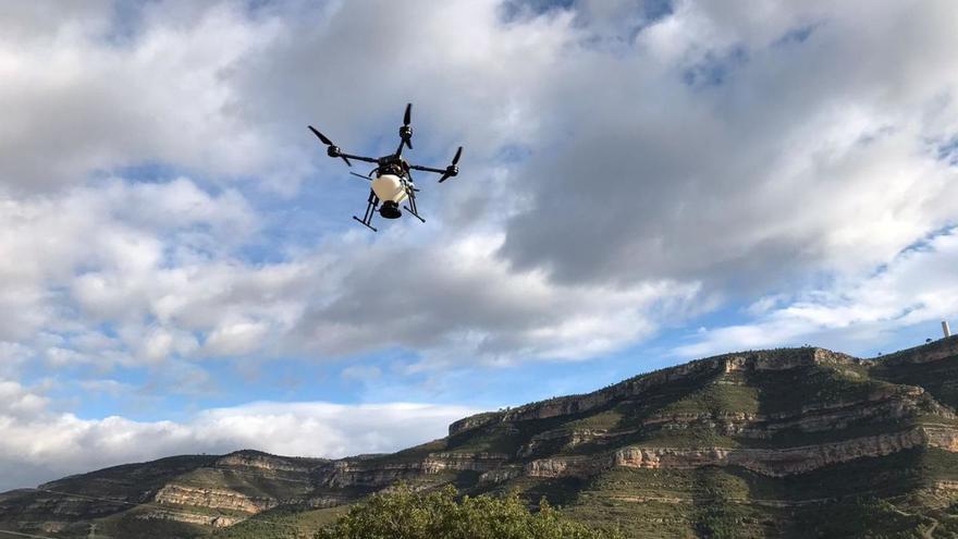 Reforestan la Muela de Cortes de Pallás con un dron que lanza semillas