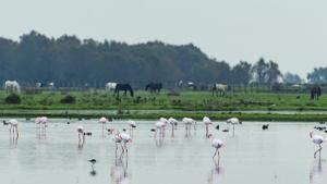 Juanma Moreno y Teresa Ribera visitan el Parque Nacional de Doñana