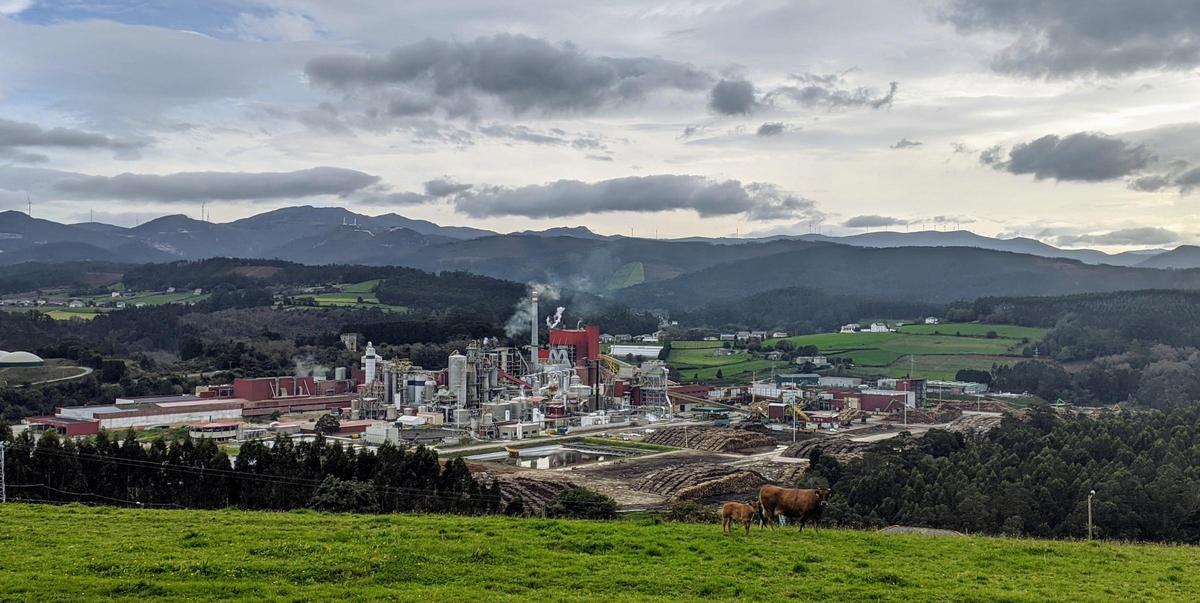 La planta de Ence Navia.