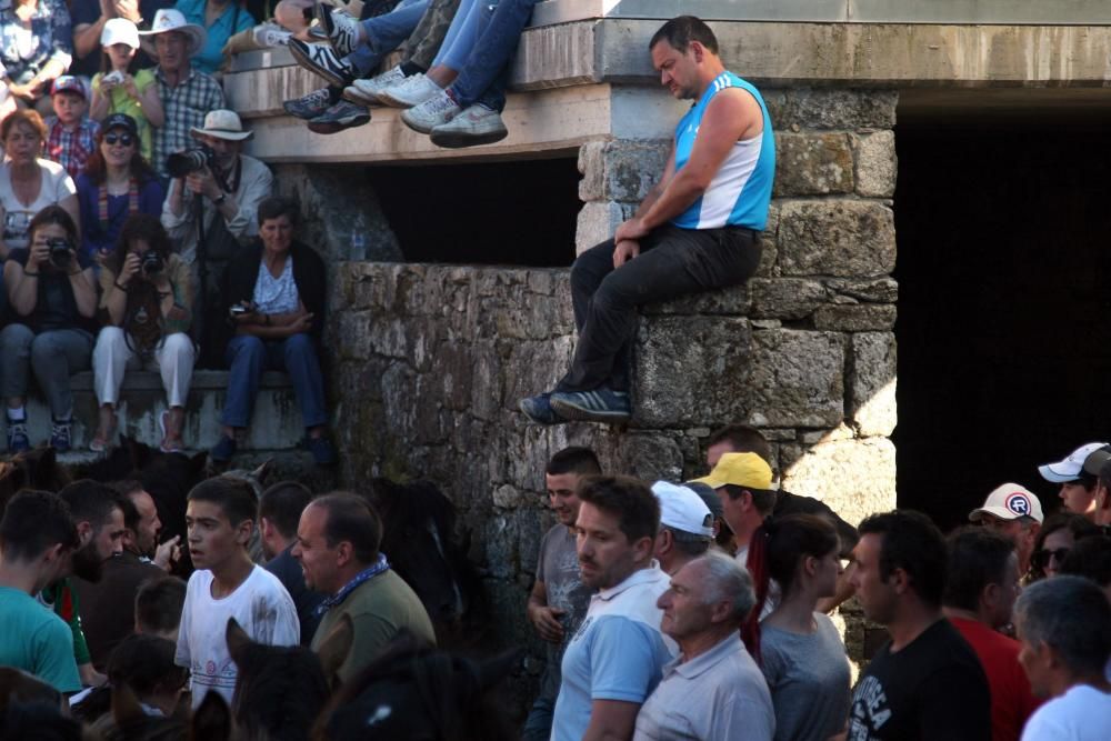 Más de quince "aloitadores" raparon a cerca de 200 caballos en el primer curro de Sabucedo