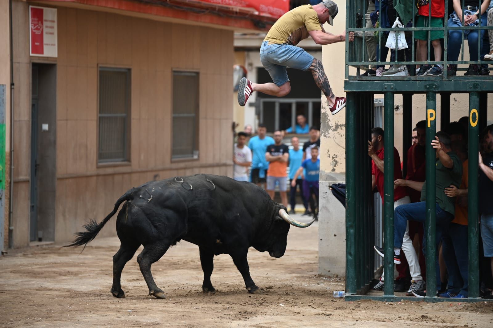 Las mejores fotos que ha dejado la tarde taurina del martes en las fiestas de Almassora 2022