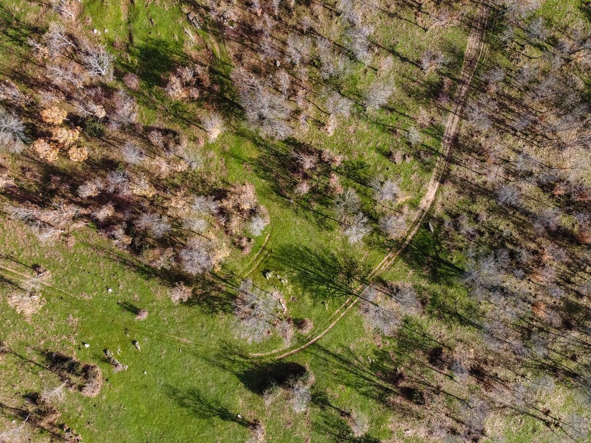 Plano aéreo de un paisaje, Montejo, Sierra del Rincón, Madrid