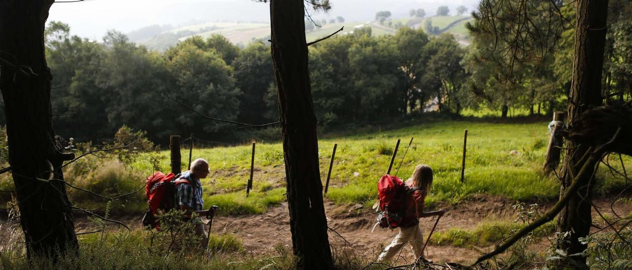 Peregrinos por un tramo del Camino Primitivo.