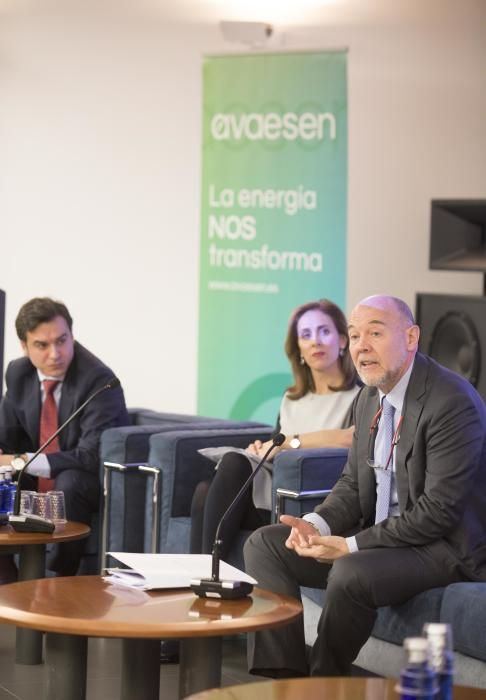 Congreso Avaesen sobre energías renovables en el club Diario Levante