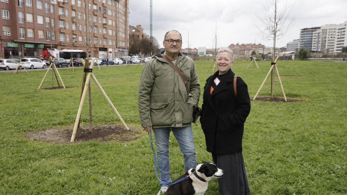 Los habituales del Solarón de Gijón lamentan la paralización del bosque urbano: "Es una pena"