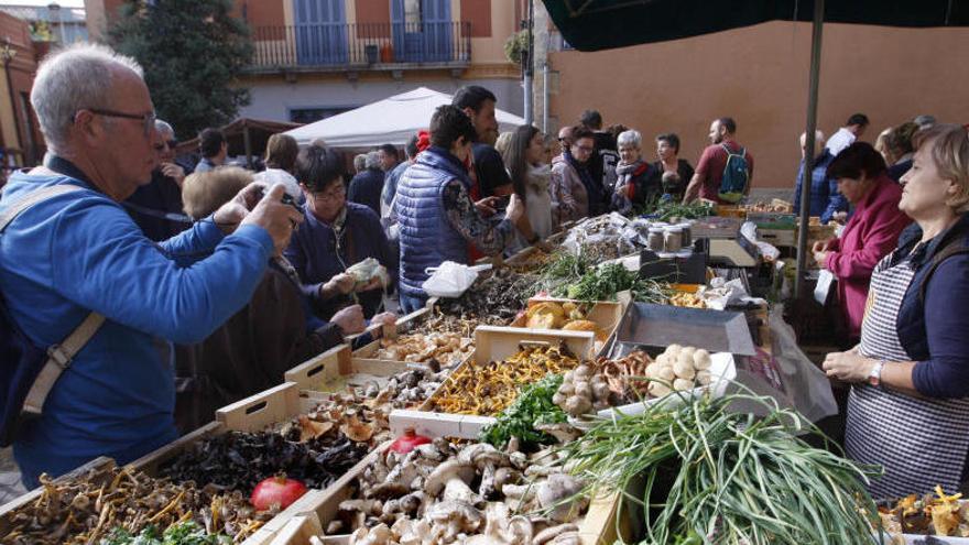 Cinc consells de seguretat per buscar bolets