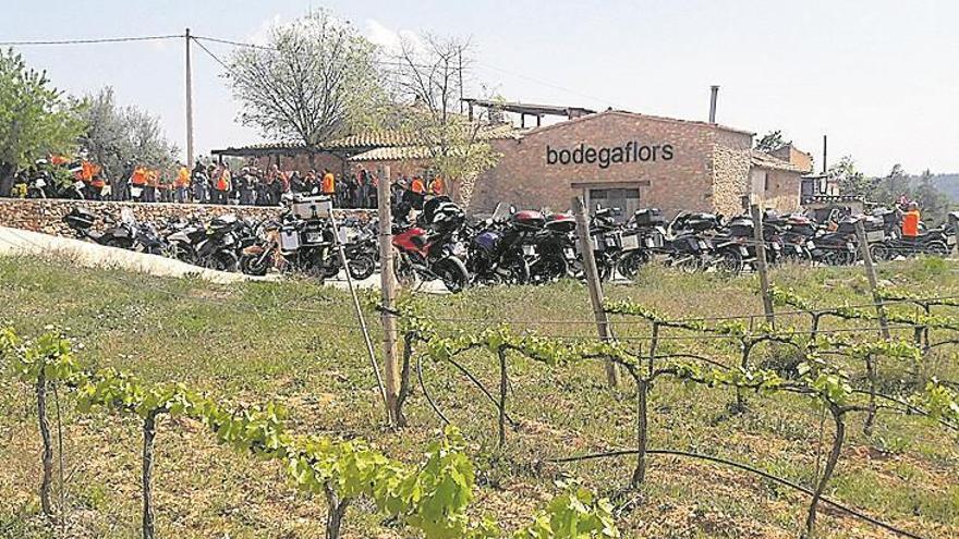 Bodega Flors potencia el enoturismo en les Useres