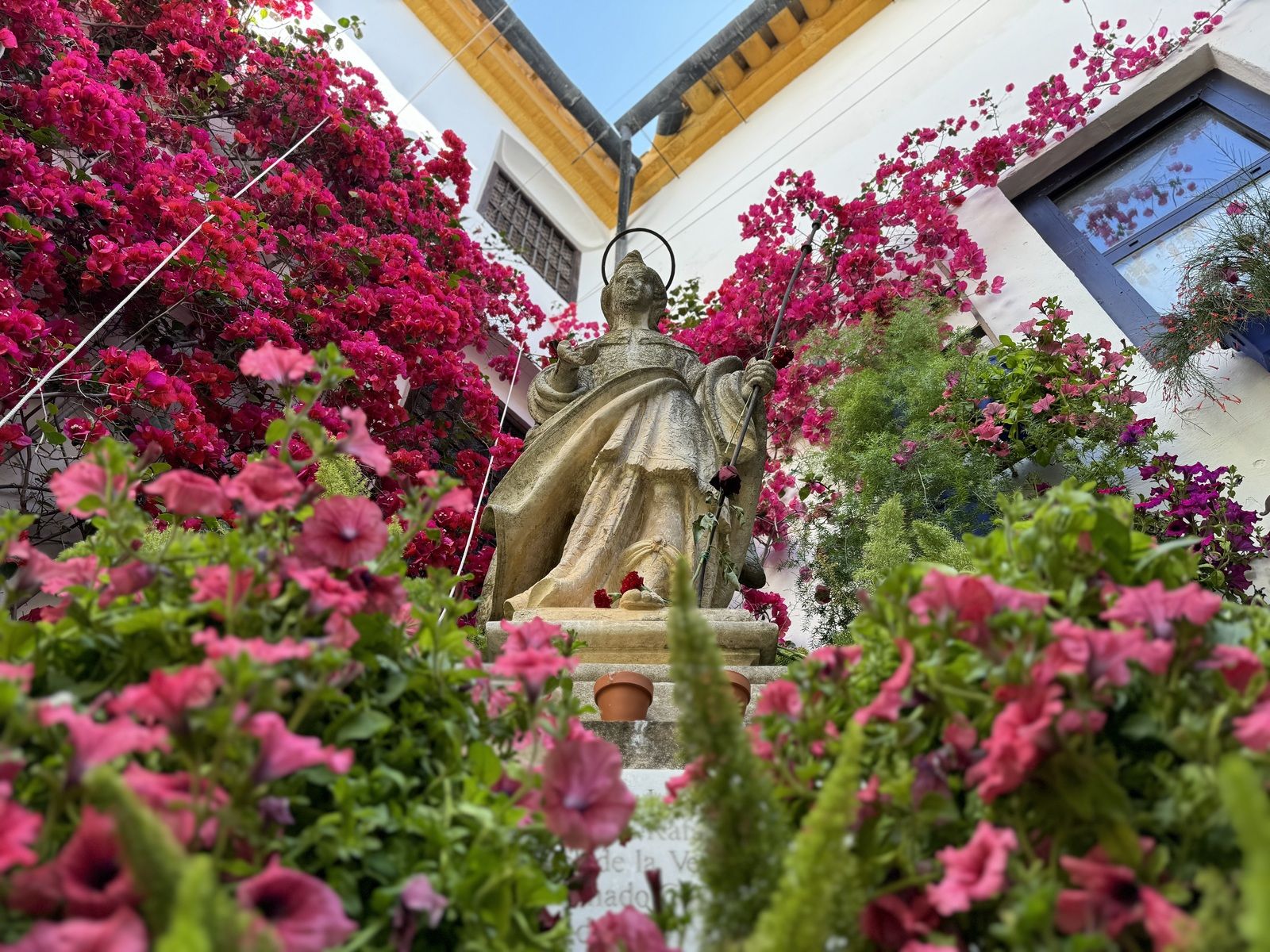 Ambiente en el último sábado de Patios