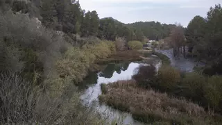 Xàtiva mira al norte de Europa para revitalizar la zona de la Cova Negra