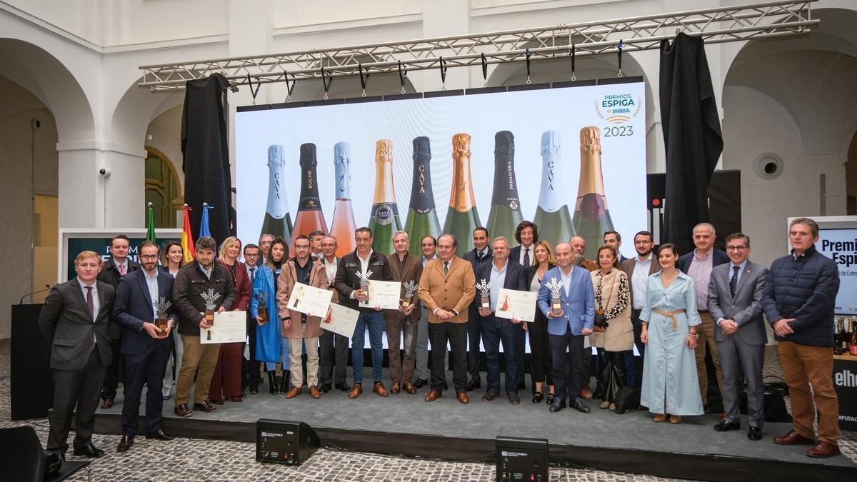 Vídeo | Así fue la entrega de los Premios Espiga 2023