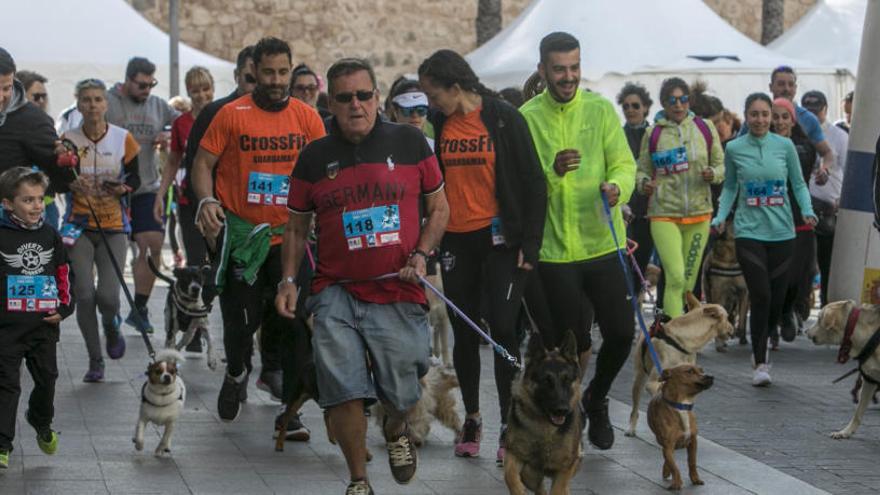 En marcha por un albergue animal