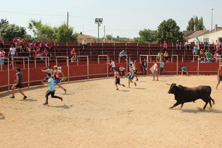 Fiestas en Zamora: Villamor de los Escuderos