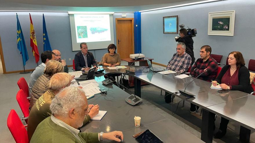 Algunos de los asistentes a la reunión del Comité Consultivo del Plan de Gestión del Lobo, en Oviedo.