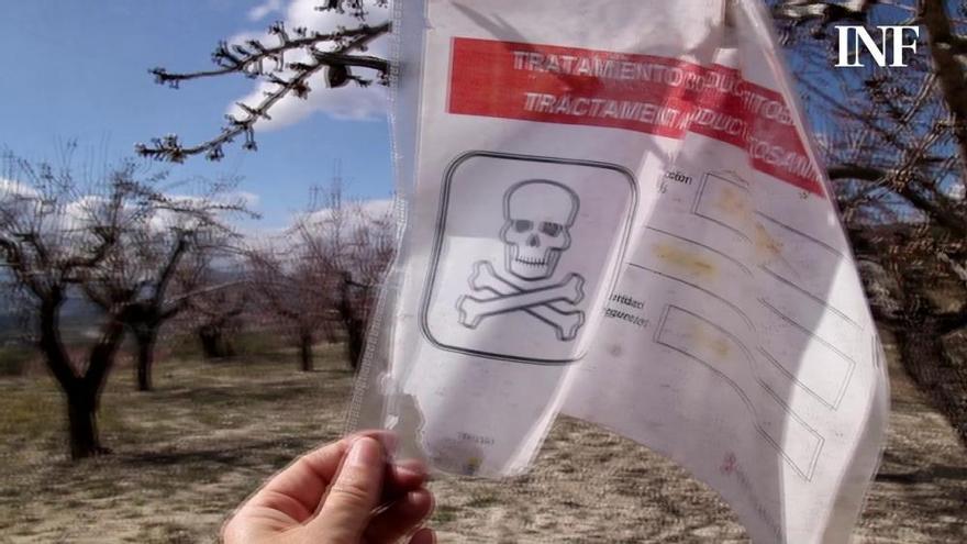 La provincia registra el sexto brote de Xylella en 47 parcelas de 16 municipios