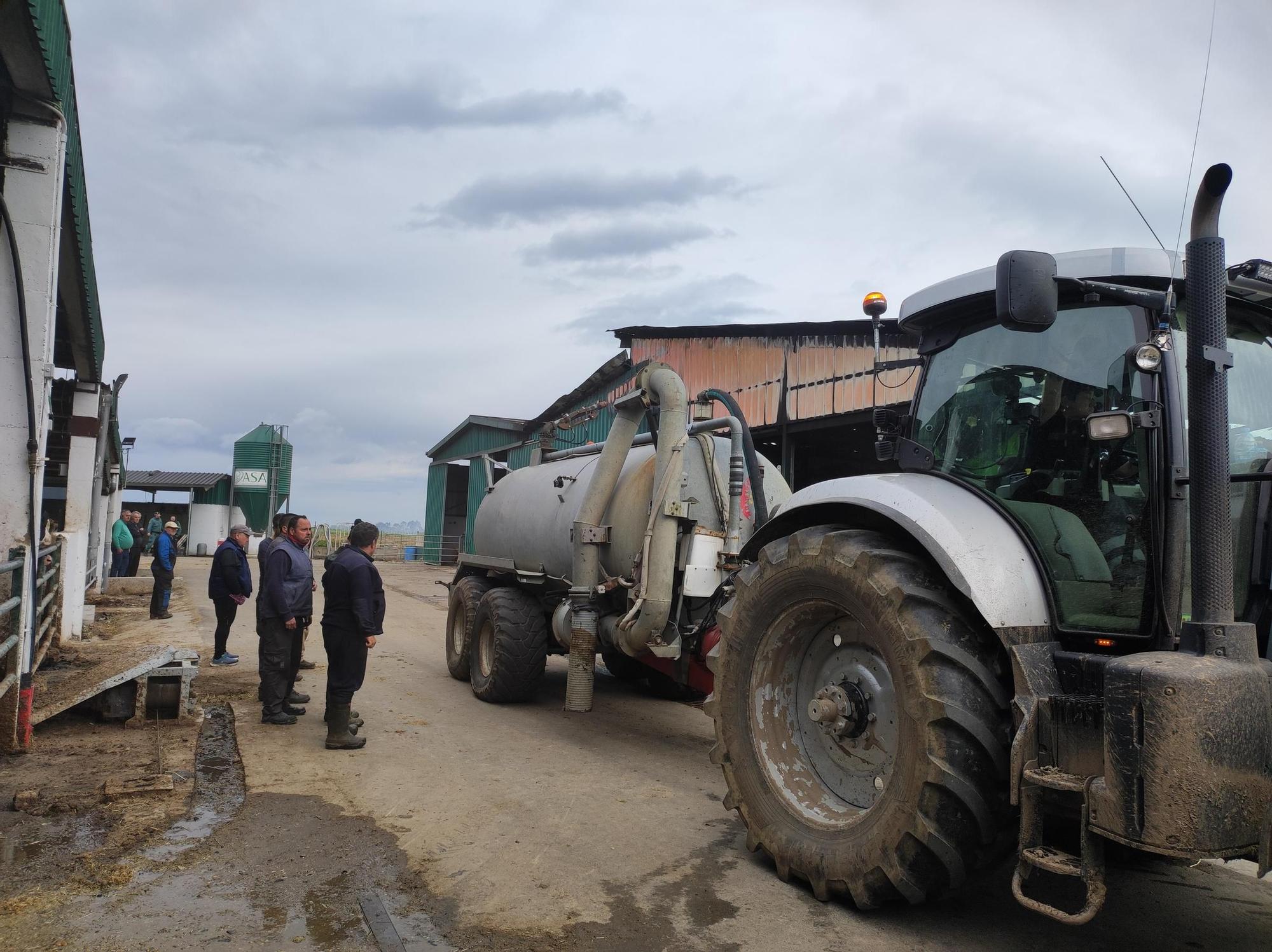 En imágenes: El fuego devora una nave ganadera en Otur (Valdés) y causa daños a un centenar de vacas