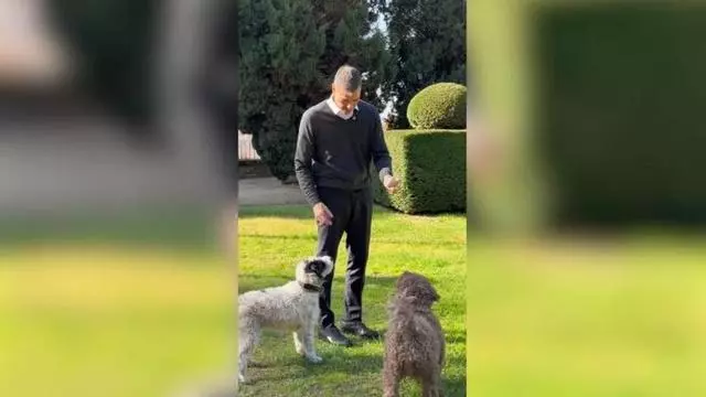 El vídeo de Pedro Sánchez jugando con sus perras en los jardines de la Moncloa
