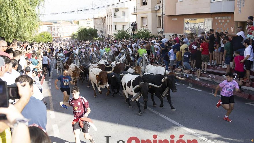 El segundo día de encierros de Moratalla deja tres heridos por asta de toro