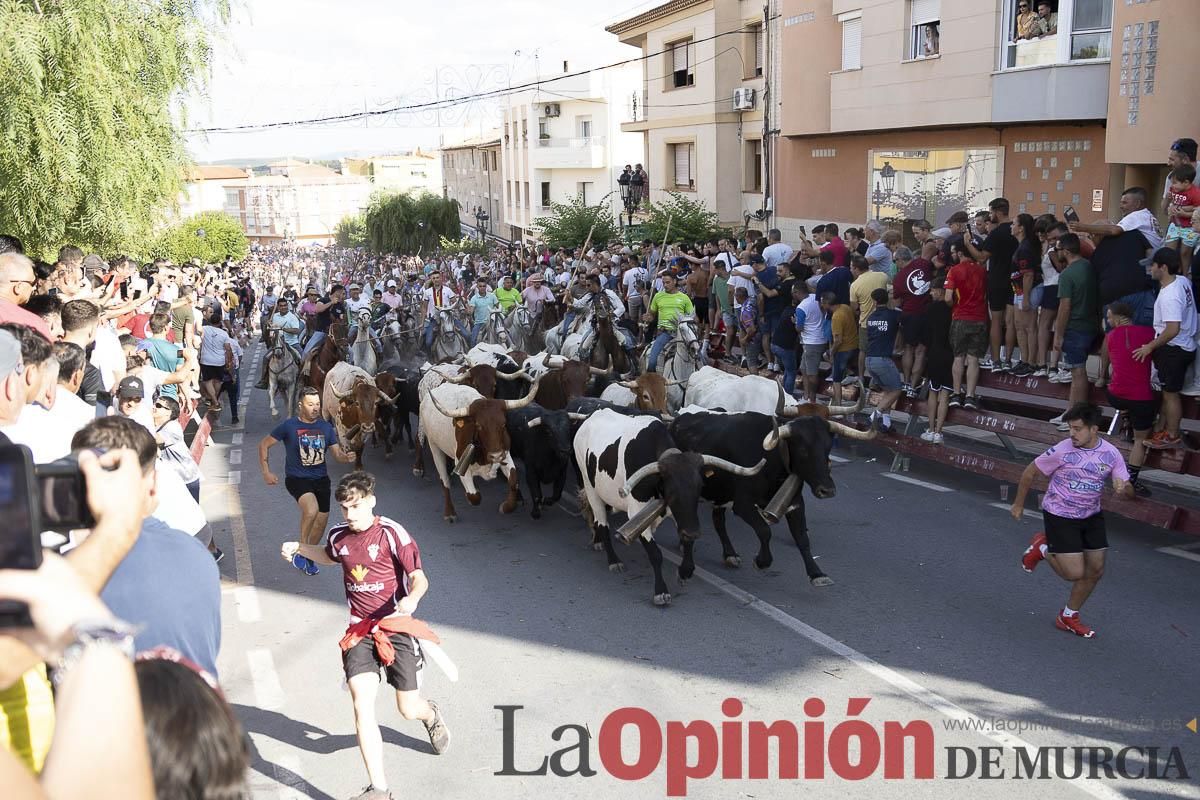 El segundo encierro de las Fiestas de Moratalla se salda con un herido